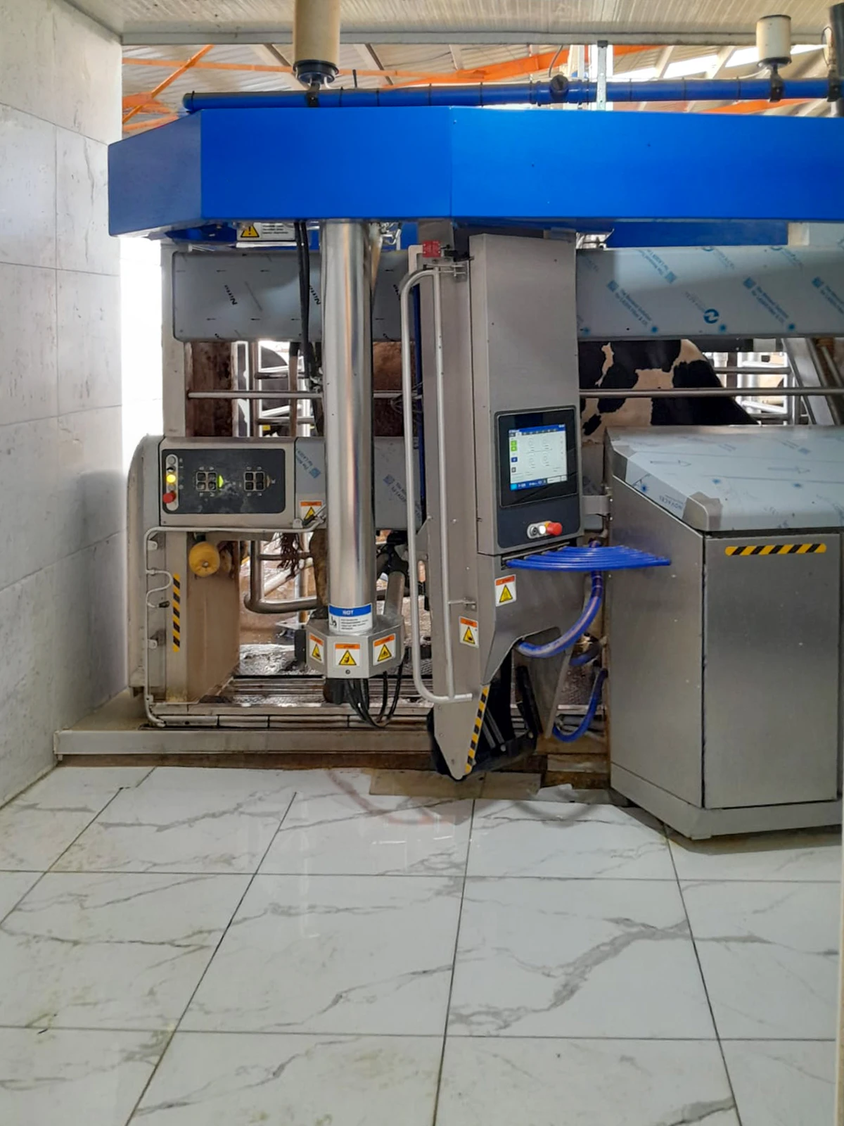 Robotik sağım ünitesinde sağım